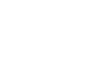 Wheel Memories
